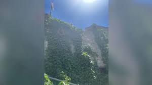 Woman stranded in Greece after quad bike crash