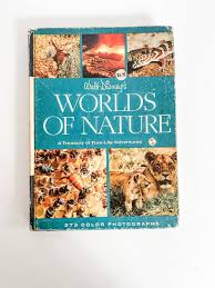 Disney's Worlds of Nature - Etsy