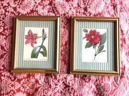 2 Vintage Botanical Prints of Flowers Label on Back Canada Cottage Core Decor Shabby Chic Boudoir - Etsy