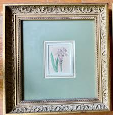 ANTIQUE kupferstich, altkoloriert, Von Maund framed BOTANICAL copper engravings | eBay