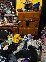 Can someone please give me a to do list on cleaning my room ...