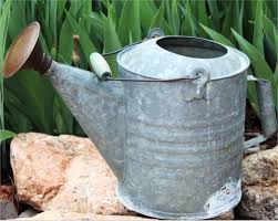Vintage Galvanized Watering Can, Garden Decor