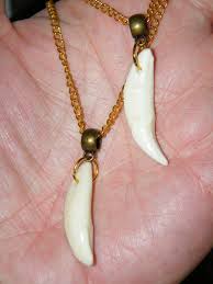 Genuine COYOTE TEETH Necklace 1.5" OFF White Tooth Pendant ...