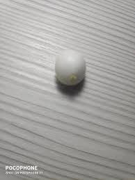 What Is this berry? Found in Lombardy on a Little Bush that ...