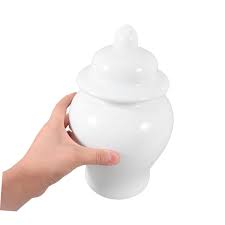 Amazon.com: PRETYZOOM Porcelain Decorative Jar with Lid ...