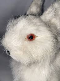 Vintage White Real Fur Sitting Bunny Rabbit | eBay