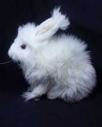 Vintage Applause Plush Albino Angora Rabbit Britten 1990 Stuffed Animal | #1894433471