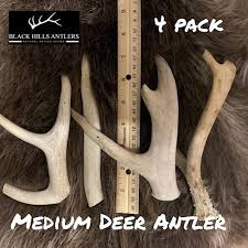 Medium Mid-Grade Deer Antler Dog Chew - 4 or 6 Pack | Black ...