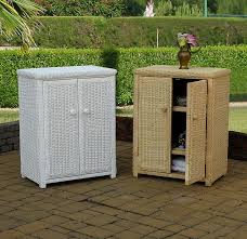 Storage Cabinet (UPS $95)