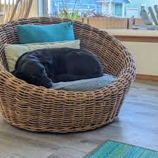 BIRTHDAY BEAR IS 12 TODAY! 🎁💖 It's been an incredible time ...