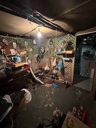 Is there anyone who buys estate clean outs? | Facebook