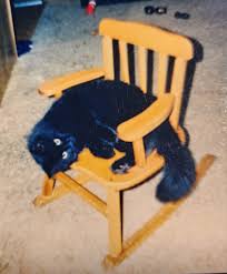 Creative Ideas for Using Elefun to Launch Ashes