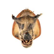 African, Oceania, and Other Tribal Art Sale 2020-10-24 Auction - 496 Price Results - Atlanta Auction Gallery in GA