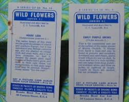 Vintage 1959 Brooke Bond Tea Cards...wild Flowers EARLY Purple Orchis & HOUSE Leek..sets of 2..2nd Wild Flower Series...#5053 Advertisements - Etsy