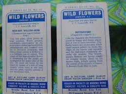 Vintage 1959 Brooke Bond Tea Cards...wild Flowers BUTTERWORT & ROSE Bay Willow..sets of 2...2nd Wild Flower Series...#5044 Advertisements - Etsy