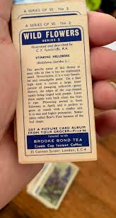 Vintage, Brooke Bond Tea, Wild Flowers, Series 3, Illustrated By, C.F. Tunnicliffe, Collectible, Cards, Gift, Father, Mother, Wife, Husband - Etsy Ireland