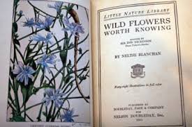 Wild Flowers Worth Knowing by Neltje Blanchan 1924 Little ...