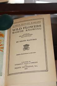 Antique, 1922, Little Nature Library, Wild Flowers Worth ...