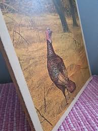Vintage Wild Turkey art by Ken Davies promo print Reproduction On Board 16x16" | eBay
