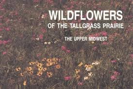 Wildflowers of the Tallgrass Prairie: The Upper Midwest ...