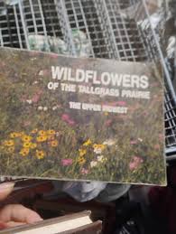 Wildflowers of the tall grass prairie paperback - Other ...
