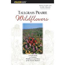 Pre-Owned Tallgrass Prairie Wildflowers: A Field Guide to ...