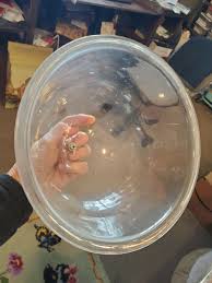 Vintage Kustom Kraft Cheese Dome SOLID BLACK WALNUT w/ Dome ...