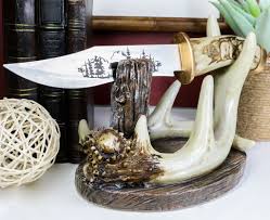 Western Rustic 8 Point Buck Stag Deer Antlers Display With ...