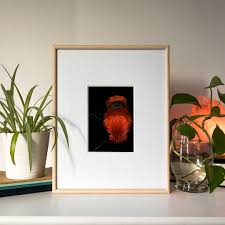 Red Velvet Ant - Matte Photo Print - Etsy