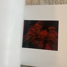 Masafumi Sanai “Dokuso” limited edition of 700 | eBay