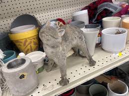 Catch & Release: Concrete kitties. One lost its tail but not its charm : r/ThriftStoreCats