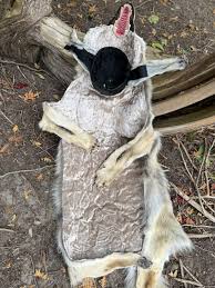 Wolf werewolf, shaman costume for Sale - Shaman Amulets ...