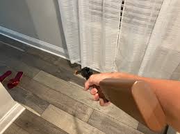 Possibly Toy Gun for Eric's Brother Marty? | Fandom