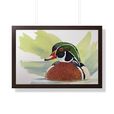 Framed Wood Duck Watercolor Art Print, Hunting Decor - Etsy