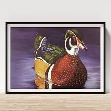 The Wood Duck Framed Print by Joyce Timberlake - Joyce ...