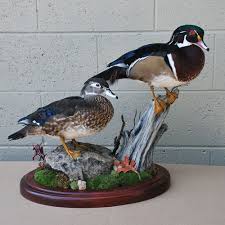 寰宇國際獵搜有限公司Wild Hunting Corp