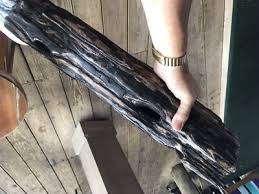 Antique 1600's Shipwreck Wood Salvage St. Augustine Florida Coast Semi Petrified | eBay