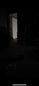 Weird shadow in hallway looks like a demon : r/Ghosts