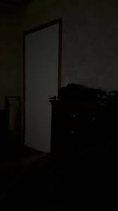 What is this called? : r/cats