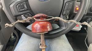 Unused postcard from Murphy's Art Shop in Big Creek