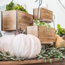 Natural Herb Buckets, Set of 4 - Decor Steals