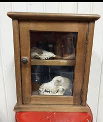 Mystery cabinet : r/bonecollecting