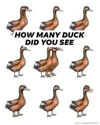 BE CV BK.2025-R-C-BBE CV BK.2025-R-D HOW ΜΑΝΥ DUCK DID γου SEE (mlivansach reetobieaia | Facebook