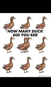 Don't use calculator 5x3-2+1x2 5x3- Winner get $3,000