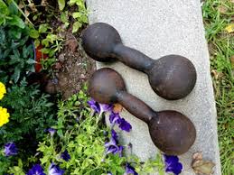 Round Dumbbell | eBay