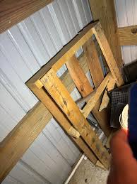 What kind of snake skin is this?