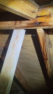 We have a metal roof and noticed a drip under the breezeway.... I got in the attic and saw this... what do we do? I have a video, I'll put a link