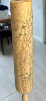 How do I combat this? : r/Mold