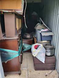 Online Storage Auction in Lincoln Park, MI ...