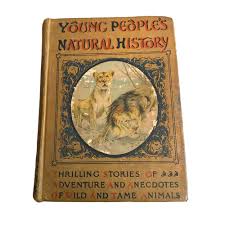 Rare Antique Book Young People's Natural History - Etsy